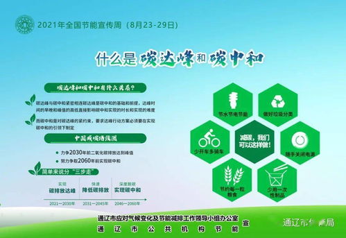 軟件開發(fā)賦能節(jié)能降碳 2021年全國節(jié)能宣傳周綠色技術實踐與展望